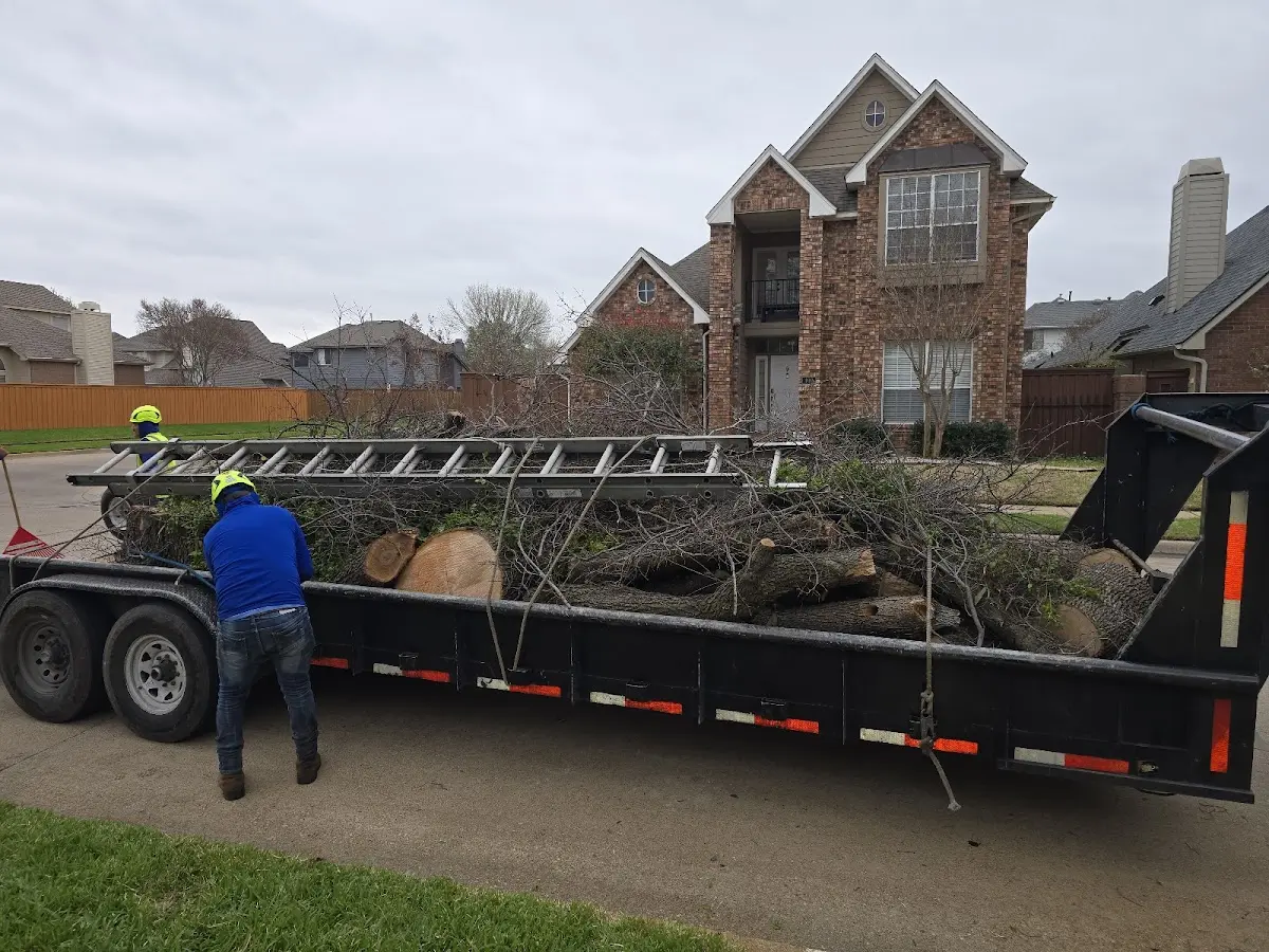 Expert Tree Fertilization with proper safety equipment in White Cloud